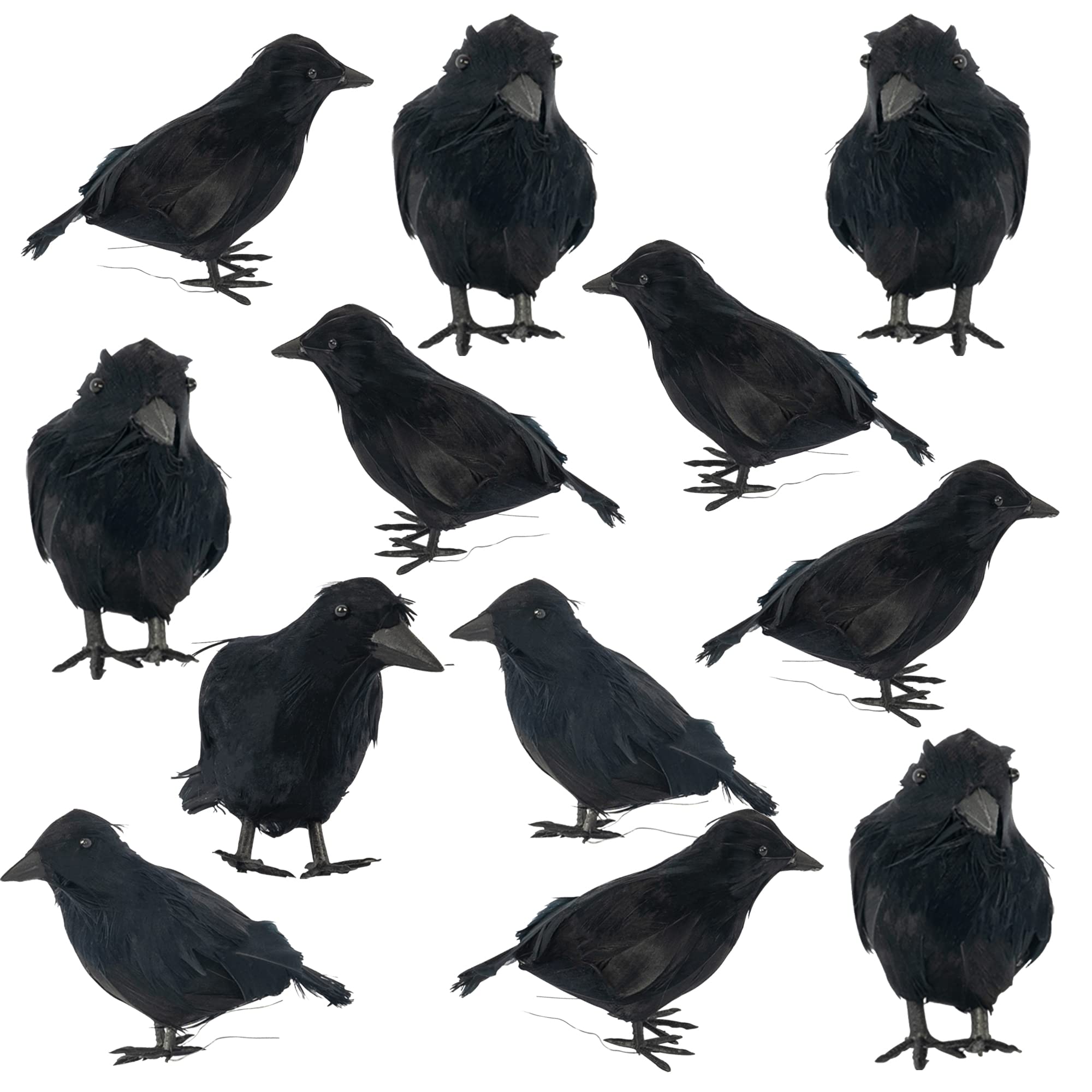 Dazzle Bright 6Pack Halloween Black Feathered Crows Decor, Holiday Decoration for Indoor Outdoor Home Yard Garden Party Carnival Supplies